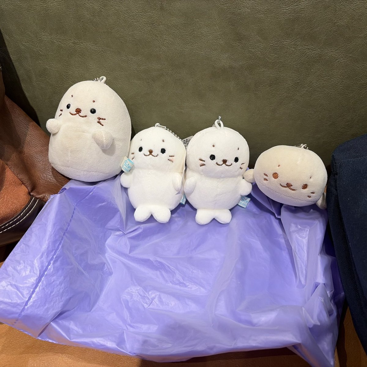 suginyaka0418's tweet photo. 夫とスタバぁッ
しろたんずも連れてきた https://t.co/tGIiCWbR8F