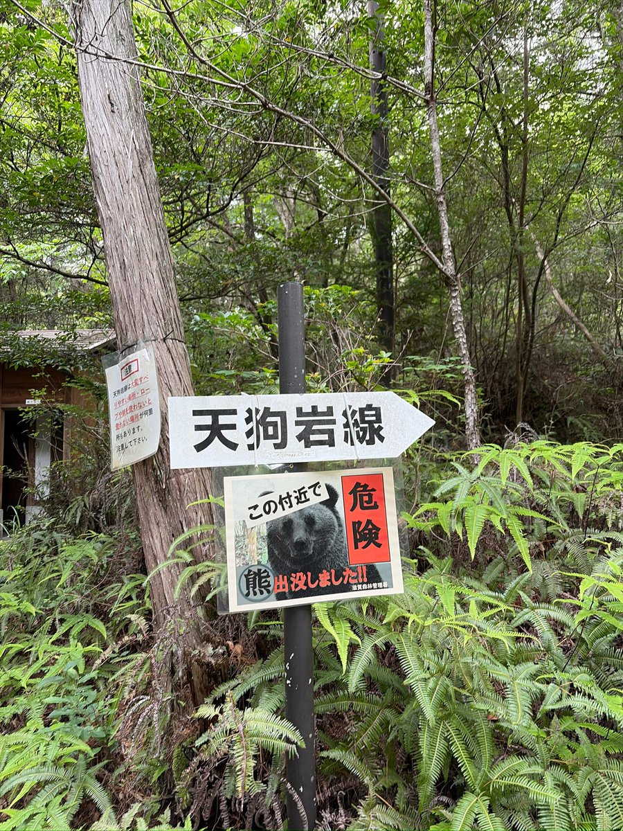 shimo0414's tweet photo. 金勝アルプス

関西屈指のアスレチック低山
ロープ無くしては登れない下れない
熊🐻にも気をつけないと

また行こ

#ソロ登山 https://t.co/qUGT3VCZdv