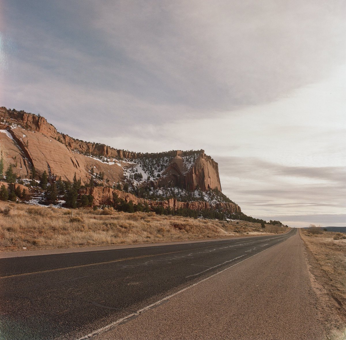 Stephen33364455's tweet photo. These were shot in 2024, between Fort Defiance, AZ and Navajo, NM on route 12. Medium format Bronica SQ-A https://t.co/LAVPPgdMX2