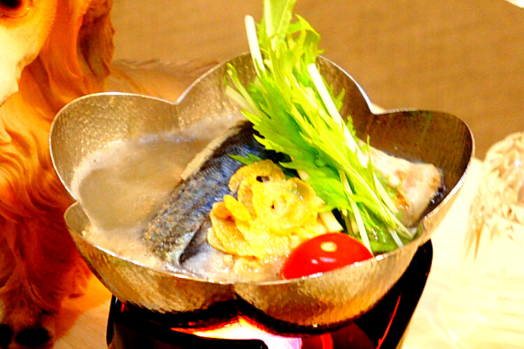 STAYWITHDOG's tweet photo. ★ペットと泊まれる宿・新着の感想☆伊豆高原・プチホテルマイカ(564件)☆https://t.co/XuG7CVi2FH https://t.co/cM2VmbGm0g