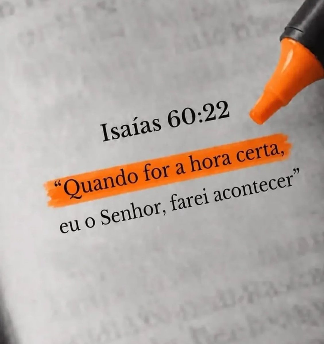 sigagalatas's tweet photo. https://t.co/kRznlXjxzT