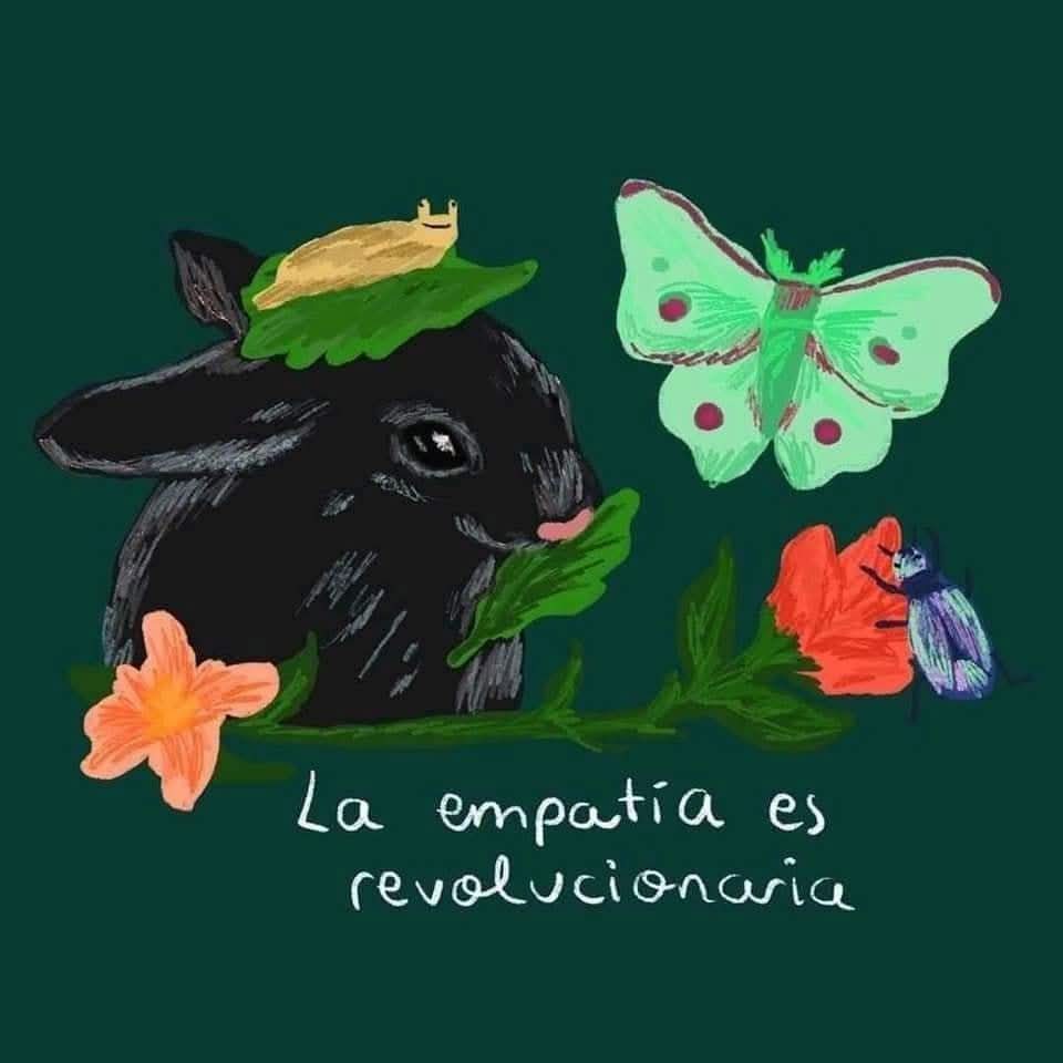 ojoscol0rsol's tweet photo. https://t.co/6SmgeRxkb6