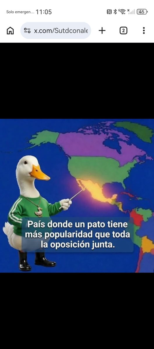 Claudia Barrera tweet media