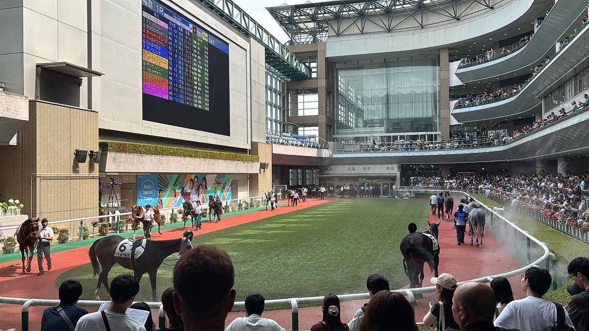 dabio_next115's tweet photo. 映像から見ても感じてたけど福島競馬場のパドックは他場に比べて距離が近い！！ https://t.co/xOoLqbOtOq