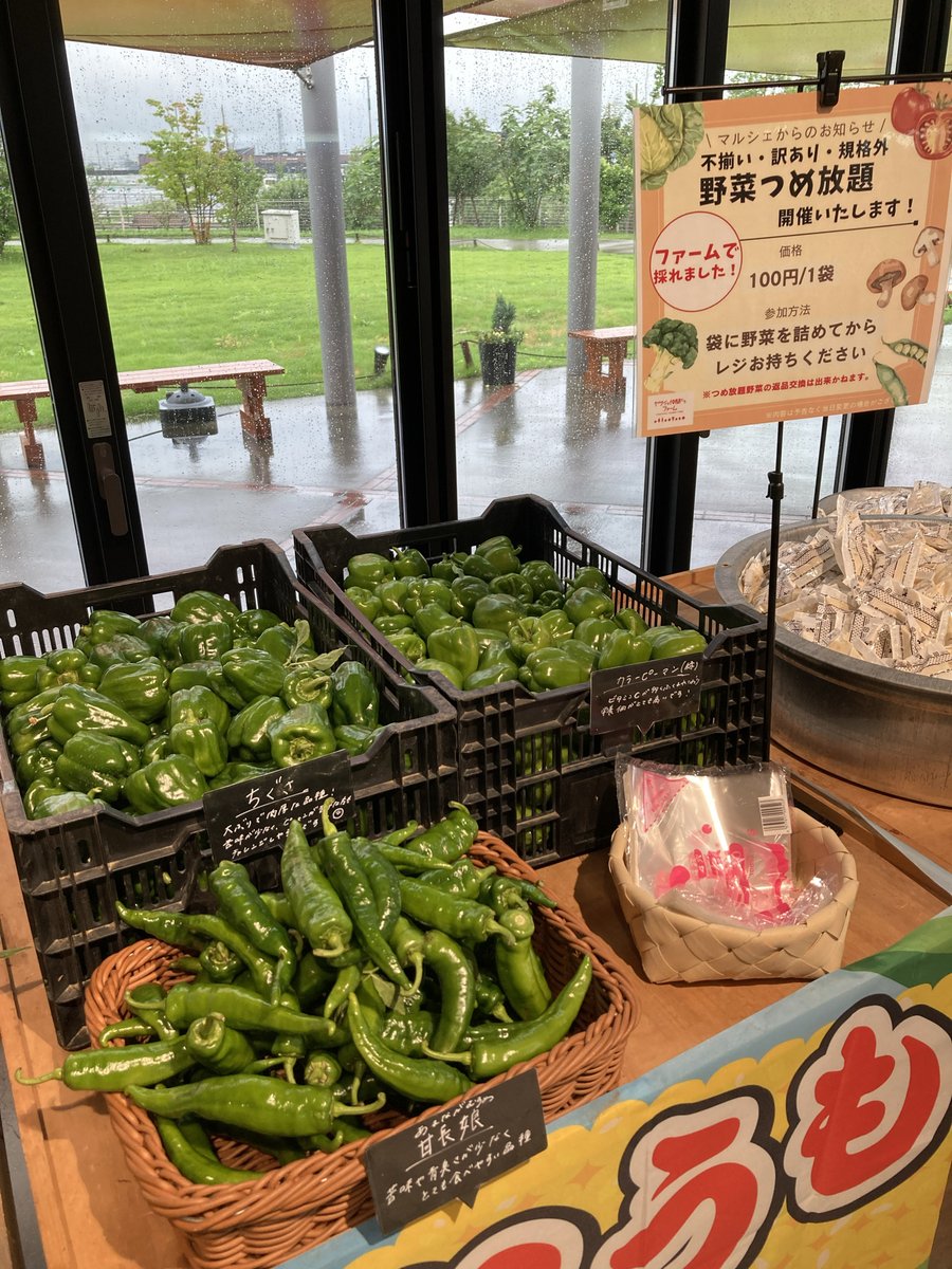 詰め放題 詰め放題🫑🫑／ #ヤサイな仲間たちファーム では #野菜の詰め放題