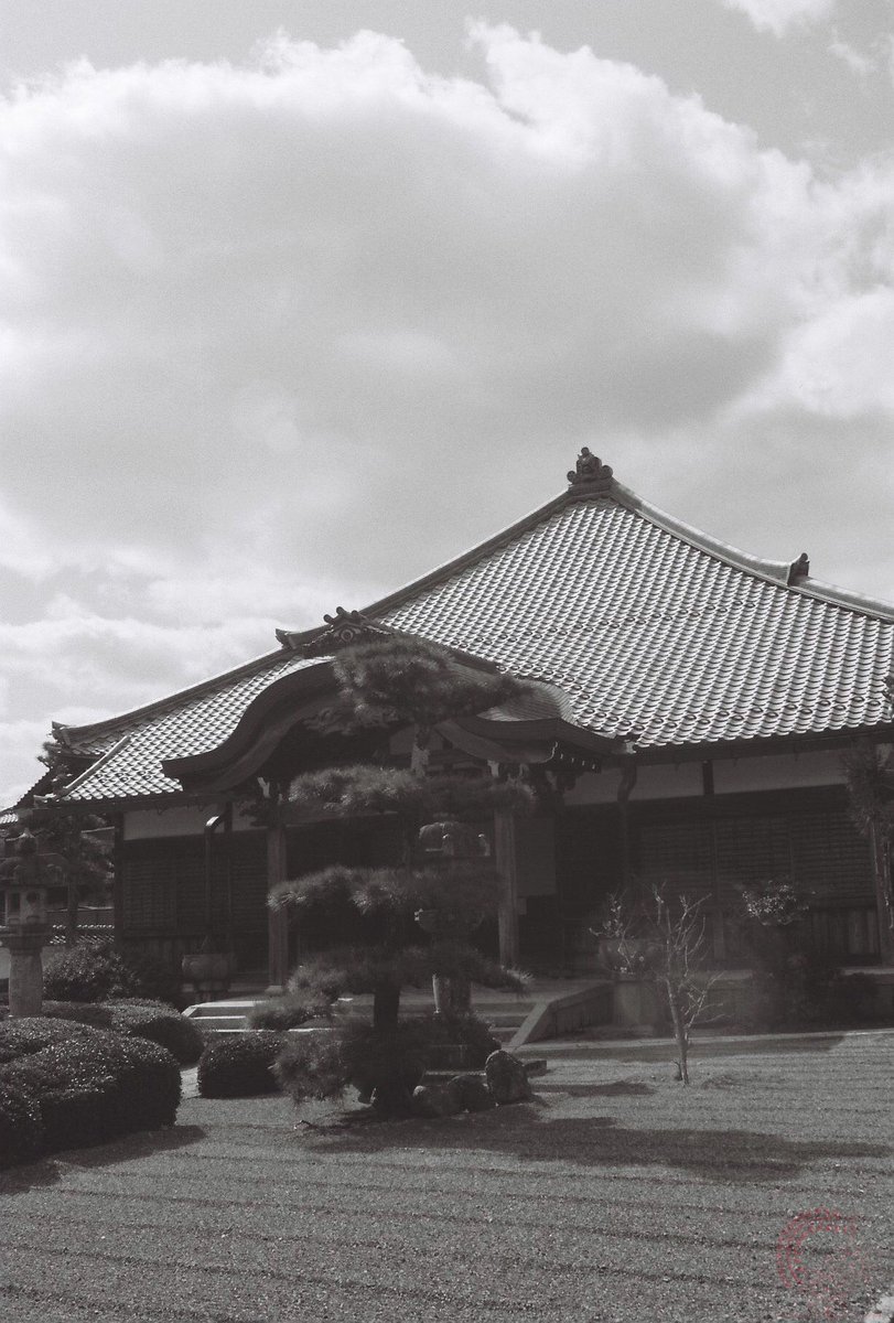 kyoto_suki's tweet photo. おはようございますm(_ _)m
#Olympus #OM2000 #レンズ一本 Zuiko AUTO-ZOOM 35-70mm F3.6 MC #Film
#FOMAPAN200 #チャンプカメラ https://t.co/FyOGhY9YDS