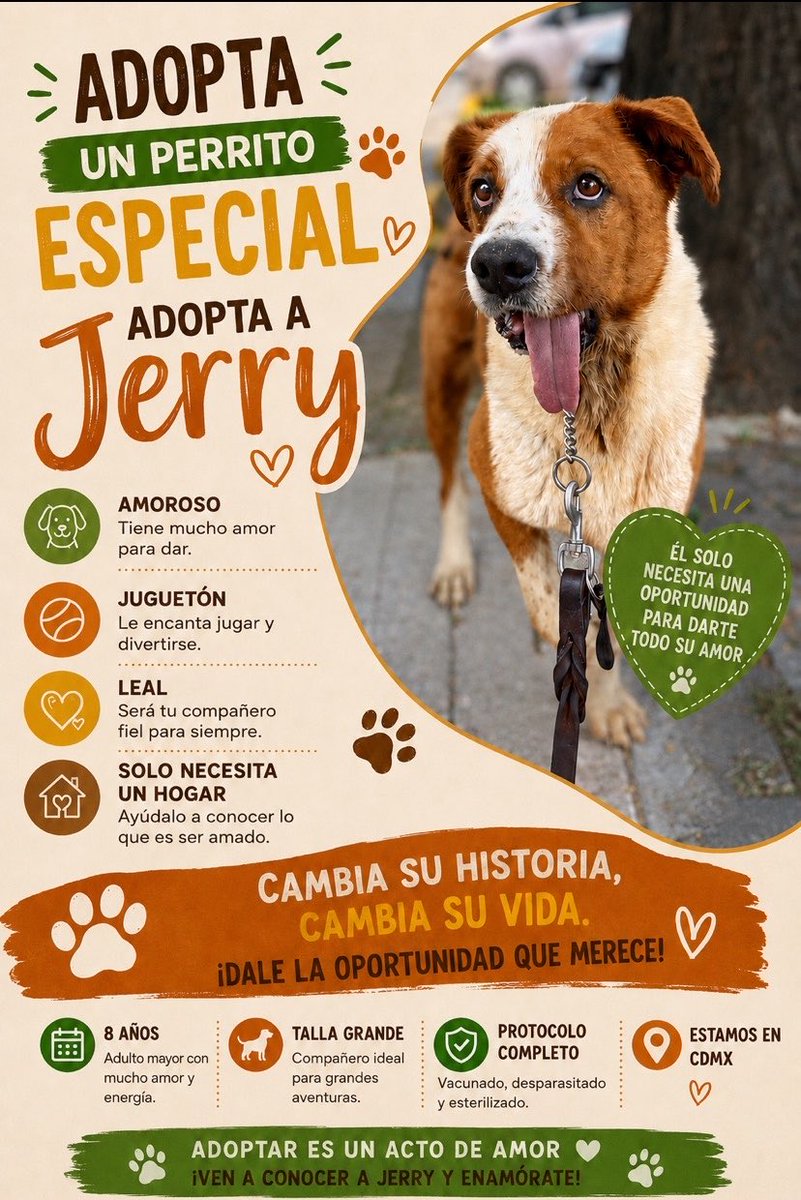HELA_MORE's tweet photo. ¿Le darías un hogar a Jerry? 💛
Estamos en CDMX. https://t.co/fSdpMUx8UN