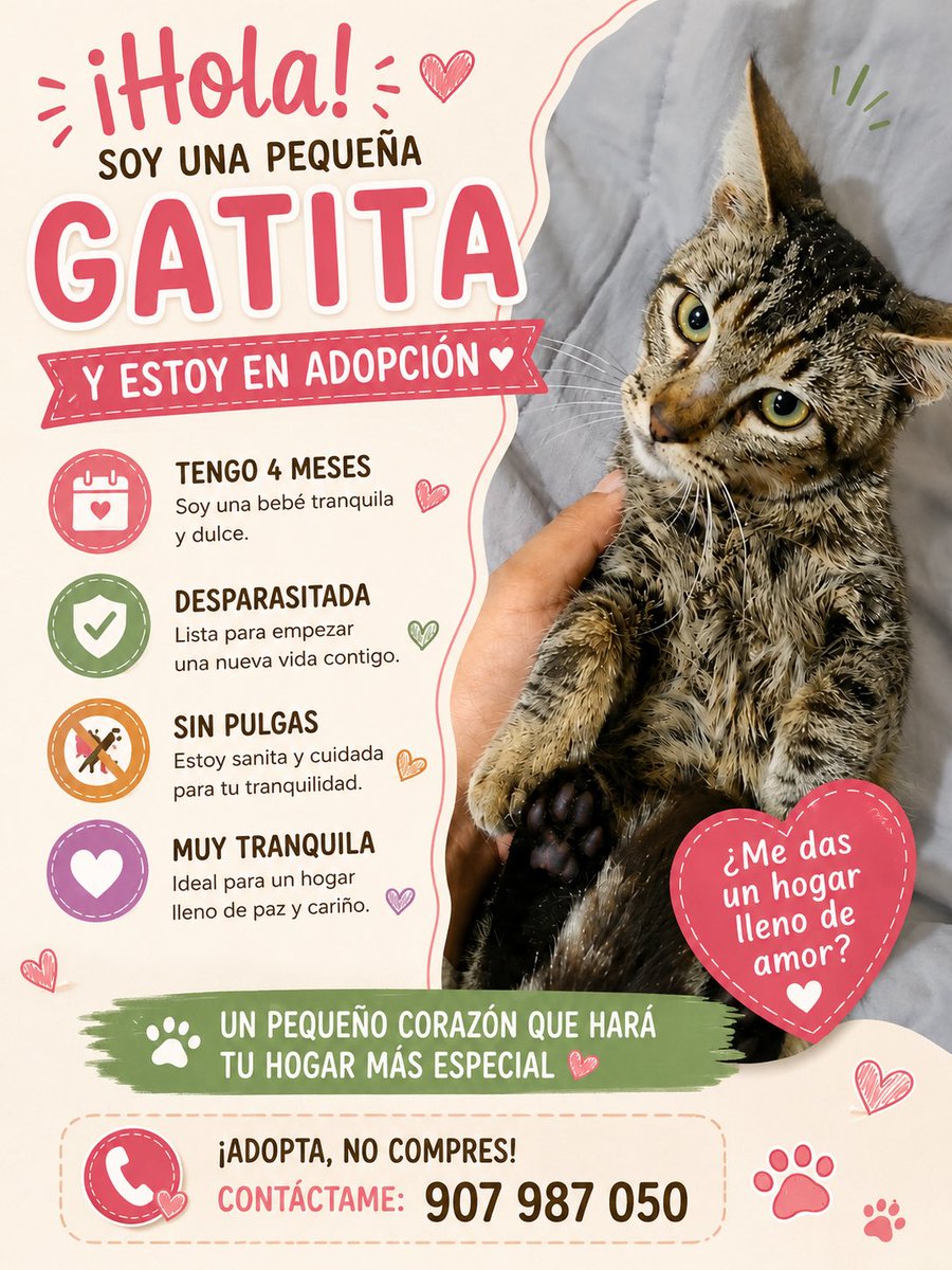 piolito18's tweet photo. La dejaron plantada 💔💔💔💔
La pobre pequeña fue plantada 😔😔 es muy tranquila y cariñosa 
Busca una casita donde la quieran mucho ❤️ 
Si no puedes adoptar apóyame dando RT y comentando🙏 https://t.co/OE4dEZbke6
