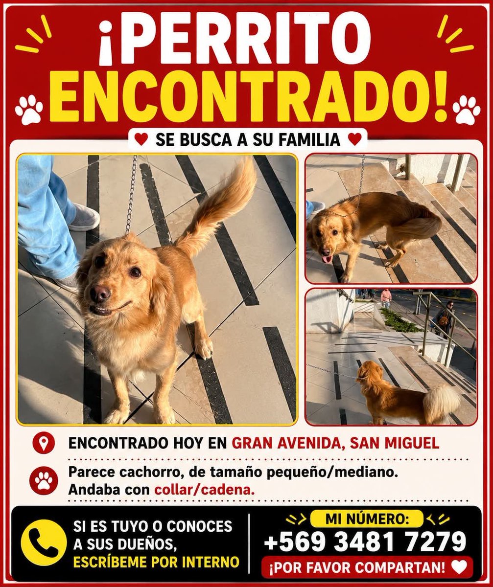 todopormiperro's tweet photo. https://t.co/RTy1Xjliz6