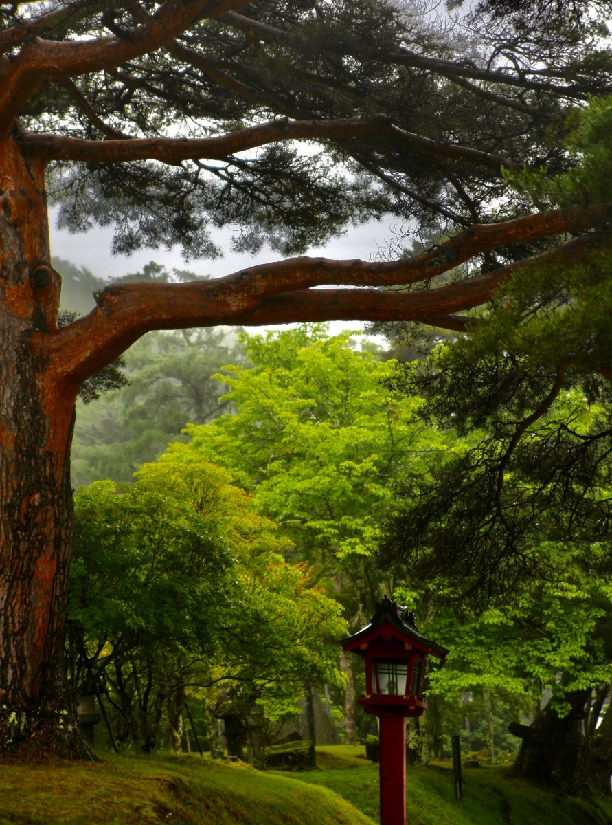 BeatMocha's tweet photo. #中禅寺湖 #二荒山神社 #EOS5dMark2 #Tamron28_75mm おはようございます🌞 https://t.co/PnBFN6zK0w