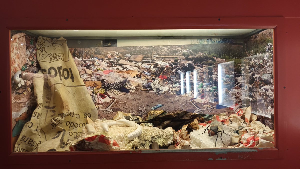 amiel_89's tweet photo. Hoy fui al Museo de La Plata y me pareció muy bueno que todavía haya espacios que concienticen sobre el reciclaje y la contaminación. Esta maqueta representa el impacto que genera la acumulación de basura en el ambiente. #ODM2026 #Museos #contaminacion https://t.co/n0UOn7bMZi