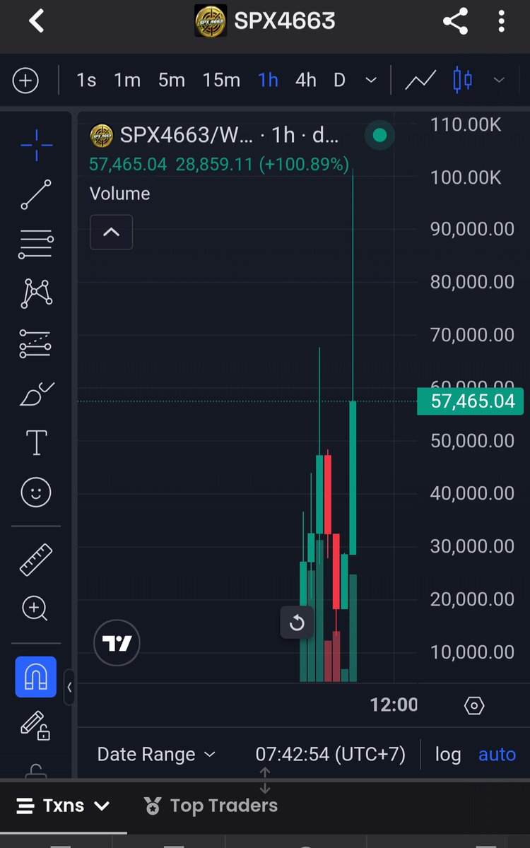 SPX4663 tweet media