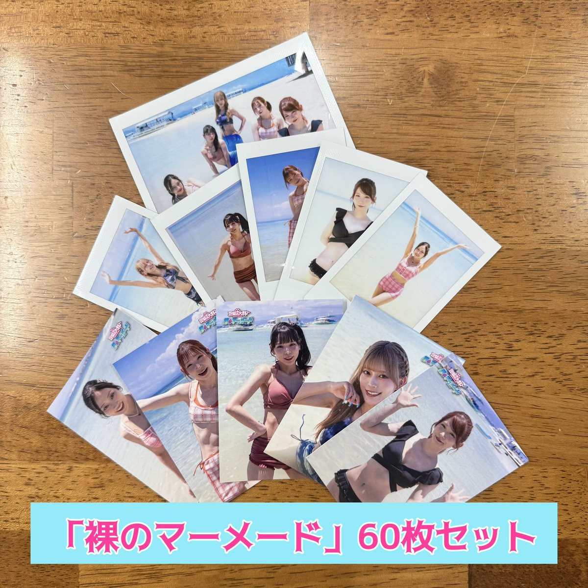 豆柴の大群 キャンペーン 冊子 豆柴の大群 (@mameshiba_96) / Posts / X