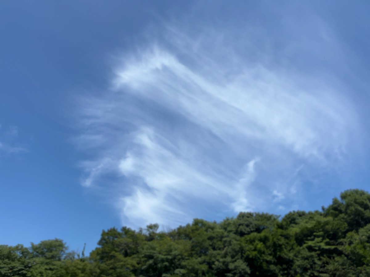 aco_fav555's tweet photo. 🌱全然仕事するんです 夏休み中も

我々の夏休みは6日間
その他は 学んで 考えて 整えて…
集中して 仕事できる夏は嬉しい

日常の休み時間 空き時間？
ありません そんなもの

無駄な案件��発生せず
自分を取り戻す夏  集中できる夏を
我々から取り上げないで！
余計な事しないで!!!!! https://t.co/QMfjOvkTMx