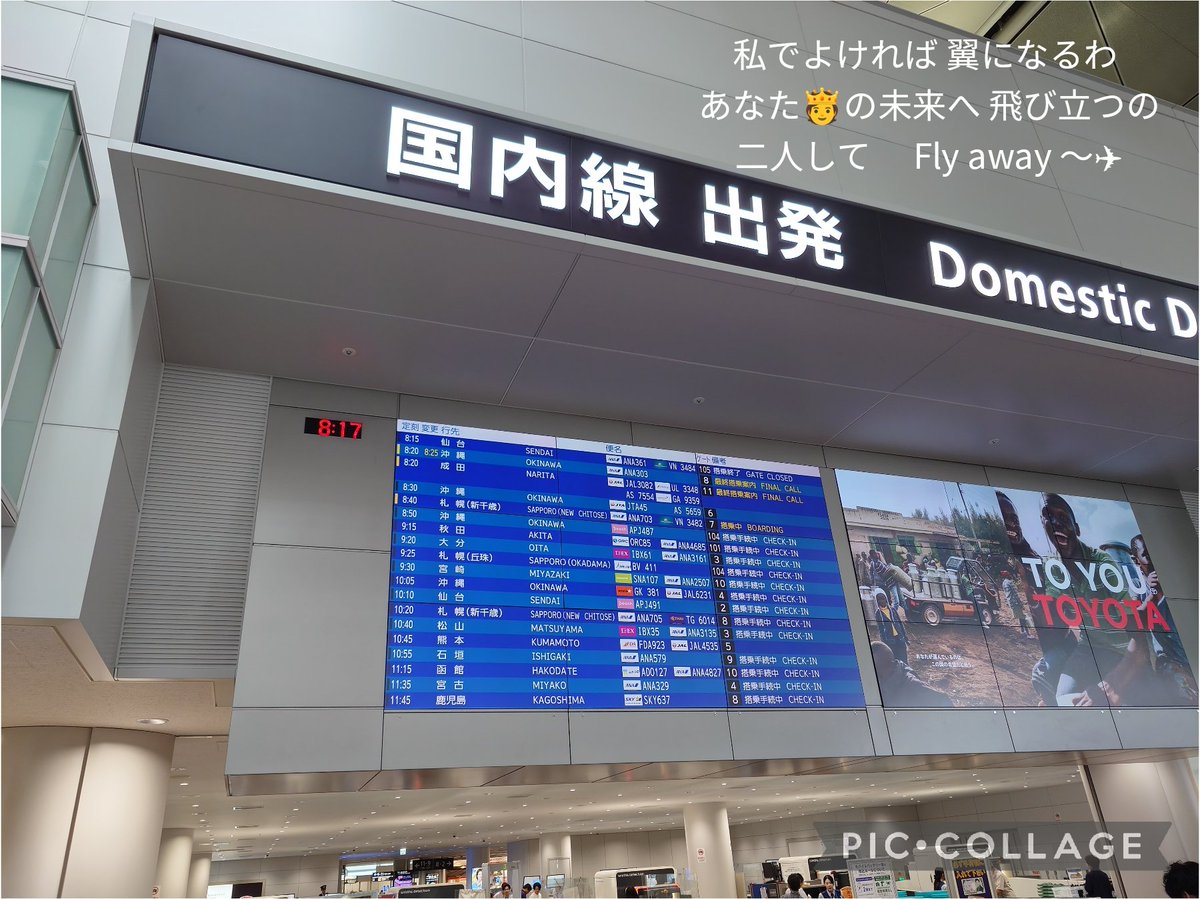 Poncho2319's tweet photo. チェックインの手続きをしてると、すぐ隣に大きな荷物に囲まれたレディが…んん？？

ああーーーー八神さーーーん🫅❗️

名古屋から同じ電車に乗ってきて、同じタイミングでチェックイン手続きを始めて、同じ飛行機で秋田へ。こんな偶然てある？！

織姫様、七夕に最高のプレゼントをありがとう!!🐈‍⬛ https://t.co/l9scUpNO5t