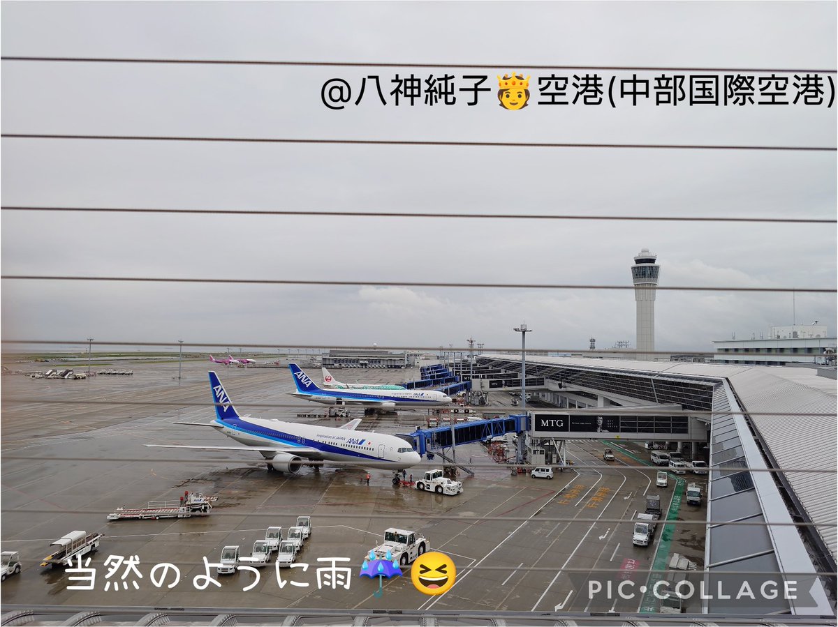 Poncho2319's tweet photo. チェックインの手続きをしてると、すぐ隣に大きな荷物に囲まれたレディが…んん？？

ああーーーー八神さーーーん🫅❗️

名古屋から同じ電車に乗ってきて、同じタイミングでチェックイン手続きを始めて、同じ飛行機で秋田へ。こんな偶然てある？！

織姫様、七夕に最高のプレゼントをありがとう!!🐈‍⬛ https://t.co/l9scUpNO5t