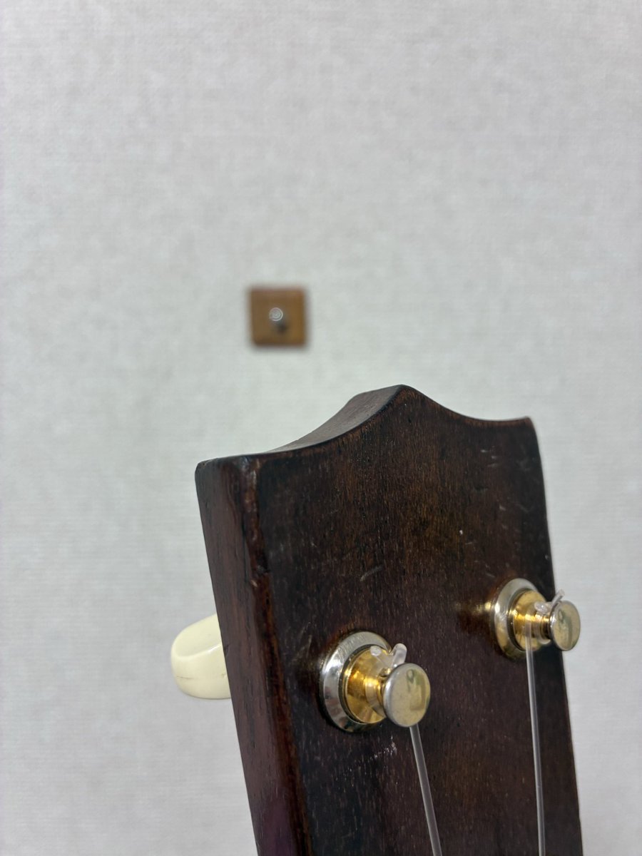ukuleletime2012's tweet photo. おはようございます☀☀

きゅうり、炒めても美味しい。パラグアイの戦い方は泥臭い。

今日は個人レッスン2本で、午後からお休みいただきます。
家族のなんの予定もなく過ごす時間は実は1番大事😊

良い1日になりますように。

#ウクレレ https://t.co/aTPisToofw