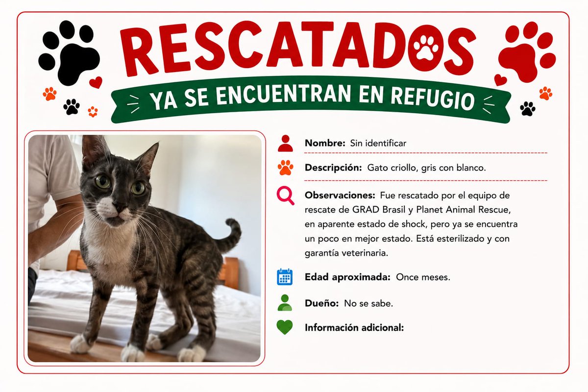 apoyocanino's tweet photo. https://t.co/XItoEqLvXO