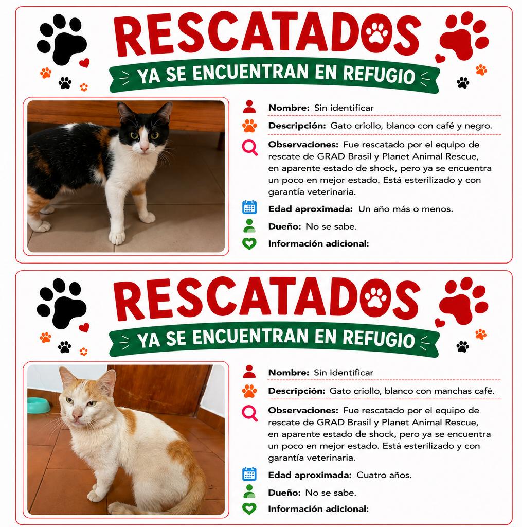 apoyocanino's tweet photo. https://t.co/XItoEqLvXO