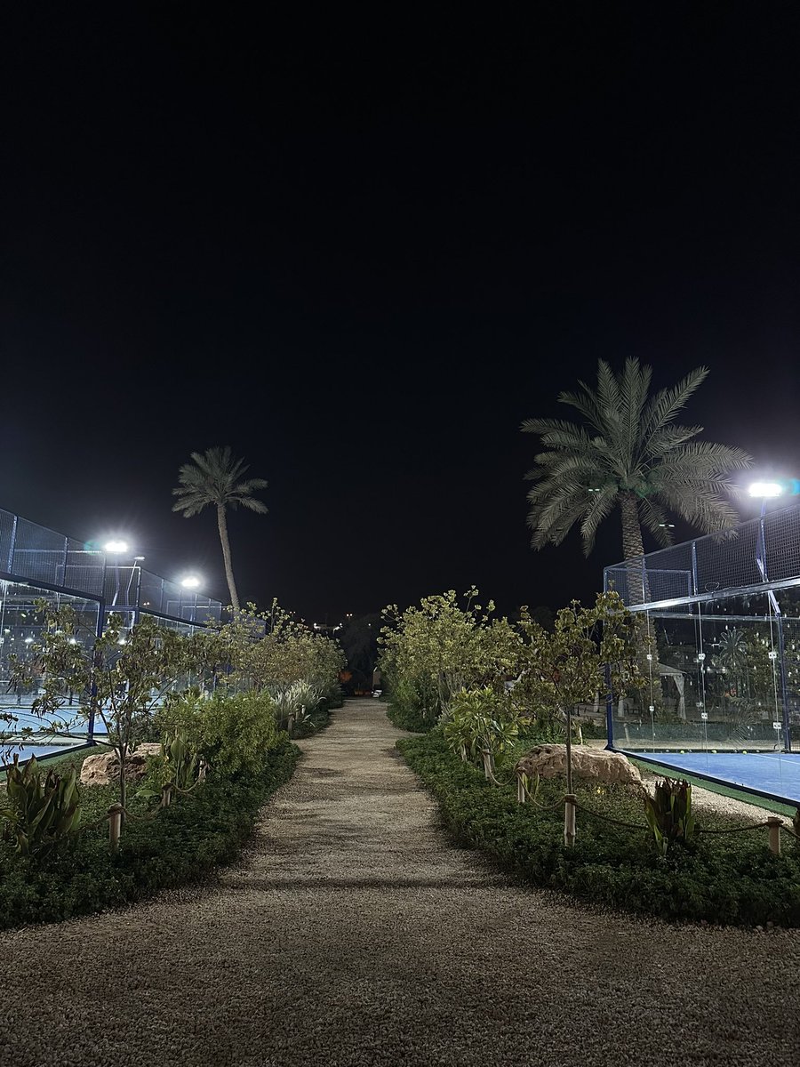 nbl7z's tweet photo. 🎾🎾 https://t.co/wKxWpxVBGn