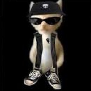 bebitanton's tweet photo. We are in cat &amp;amp;amp; bull meta

Many OG cats are becoming cults, Drooling 3M, Crying cat,  Muchu, catfish etc

But we're missing the real OG iconic one

El PANA MIGUEL, best OG low quality viral cat meme

https://t.co/4yKzwj57u4 https://t.co/DBkl1ldR1E