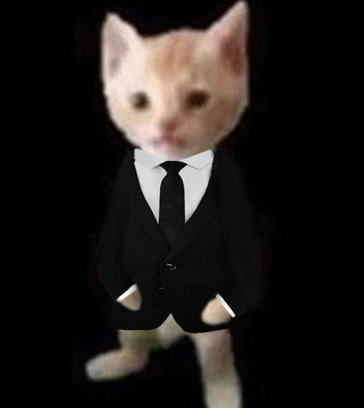 bebitanton's tweet photo. We are in cat &amp;amp;amp; bull meta

Many OG cats are becoming cults, Drooling 3M, Crying cat,  Muchu, catfish etc

But we're missing the real OG iconic one

El PANA MIGUEL, best OG low quality viral cat meme

https://t.co/4yKzwj57u4 https://t.co/DBkl1ldR1E