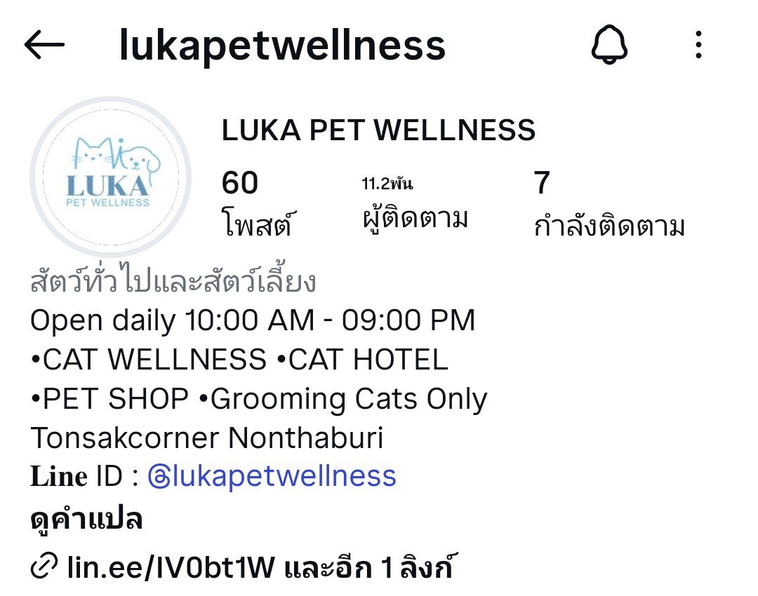 leenatthapa's tweet photo. Dr. Sahaphap ❤️ พูมใจอ่ะะ ถึงวันที่มีแมวก็ได้หมอที่เคยเลี้ยงผ่านออนไลน์ เฝ้าเขาอ่านหนังสือถึงตีสามมาดูแลให้ ละนังโกลดี้ก็เป็นแมวจรอยู่ดีดีมาโดนหมอฝึกเชิ่ดหรอ ดูท่าละก็ขำ ละกลับมาบ้านฮีดีดได้หมออีก ตีสามก็ไม่หลับไม่นอน 55555555 ฮือจะบ้า

ขอบคุณ #Lukapetwellness มากๆคับที่เอ็นดูไอแมวส้มพูดมากตัวนี้ 🙏❤️ ทำนัด + พาแมวไปใช้บริการได้น้าทุกคน แอดมินน่ารักถามไรตอบหมด คุณหมอก็น่ารัก ทั้งหมอเกดหมอมิกเลย ไปอุดหนุนกันน เผื่อจะมีเพิ่มสาขาอีก380สาขาในกรุงเทพและทั่วประเทศ

[#mixxiw @wixxiws]
มาเพื่อเป็นที่พึ่งของแม่ต๋าออนไลน์มากๆ ขอให้เจริญๆ กิจการรุ่งเรืองนะลูกนะ

ปล. รอบนี้ไม่ได้พาแมวไปเองแต่คนพาไปชมหมอมิกให้ฟังไม่หยุด แนะนำดี สอนวิธีเช็ดหูด้วย (เด่วแม่กลับไปซื้อน้ำยาเองนะ5555) เก่งมากๆเลยน้า รักษาสุขภาพด้วยนะคะคุณหมอวันนึงวิ่งกี่อาชีพไม่รู้ 🥹 ♡♡♡♡