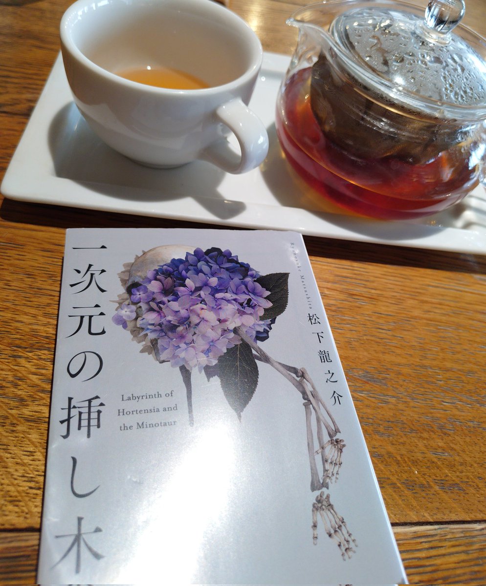 mimimitantanmen's tweet photo. 今日はこれ読む
読み切れるかなー？
『一次元の挿し木』松下龍之介 https://t.co/58Pesunsfm