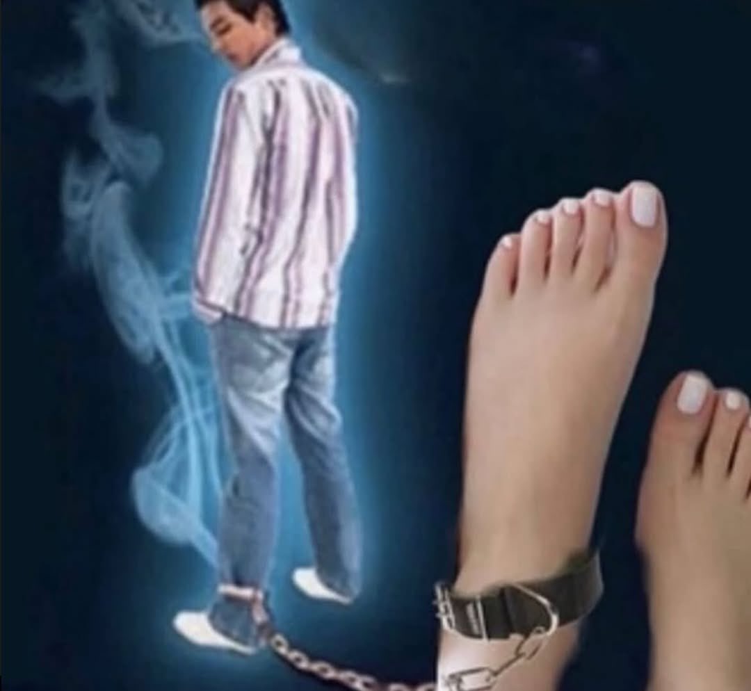 VTuberFeetFan's tweet photo. Society https://t.co/kd1iNfg7n4