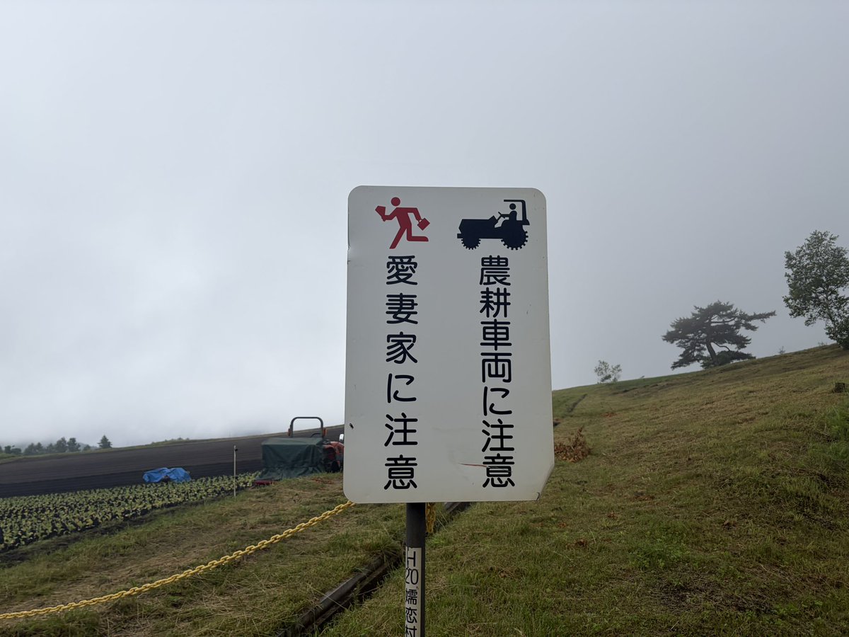 mkazuh's tweet photo. はしっちょります https://t.co/60My4N2gPD