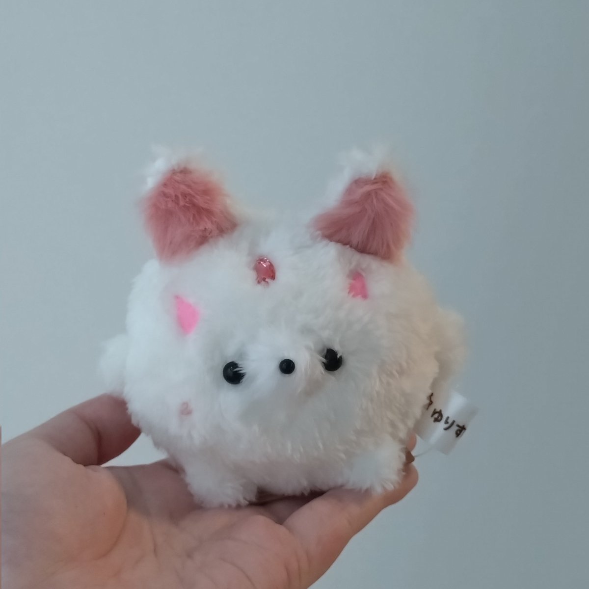 ゆりすけあにまる　作家　ぬいぐるみ　狸　しば犬　狼　リス ゆりすけあにまる（ぬいぐるみ作家）@まるあにまる (@yurisukeanimal