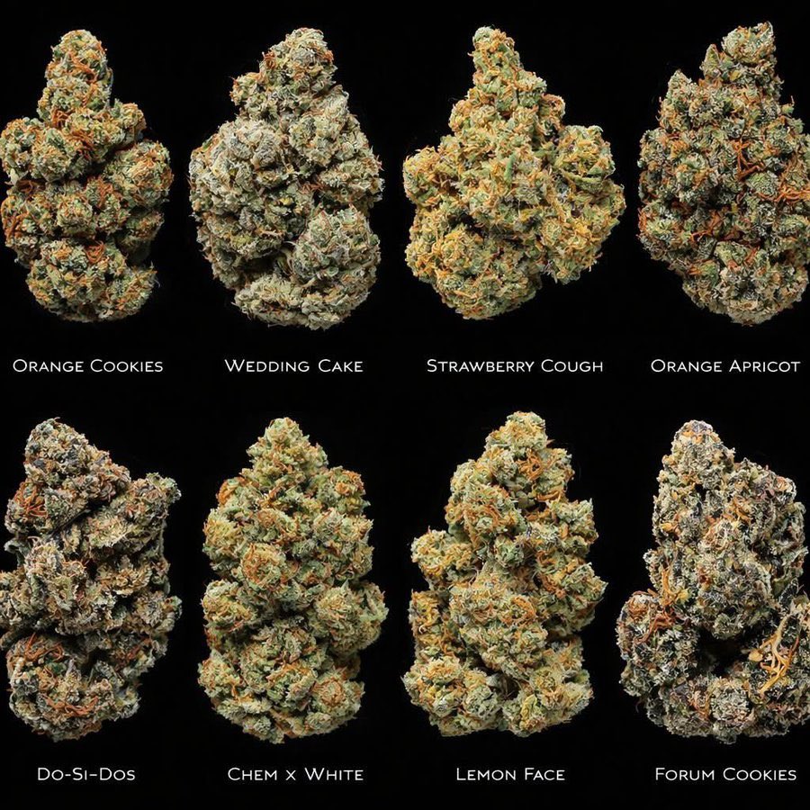 premuimpacks's tweet photo. Which of the following strain is the strongest https://t.co/Nel4Qh2pIX