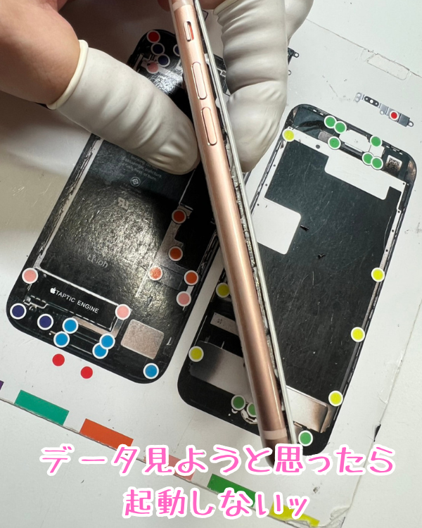 ringokagoshima's tweet photo. iPhoneデータ見ようと思って久しぶりに出したら…

https://t.co/y3lST0hYE9

#iPhone修理
#スマップル鹿児島店
#スマホ修理

890-0053
鹿児島県鹿児島市中央町22-16アエールプラザ2階
スマップル鹿児島店
099-230-0404

インスタグラムもよろしくお願いします！

https://t.co/5jcYMqbDN8 https://t.co/WjNgB9FR7s