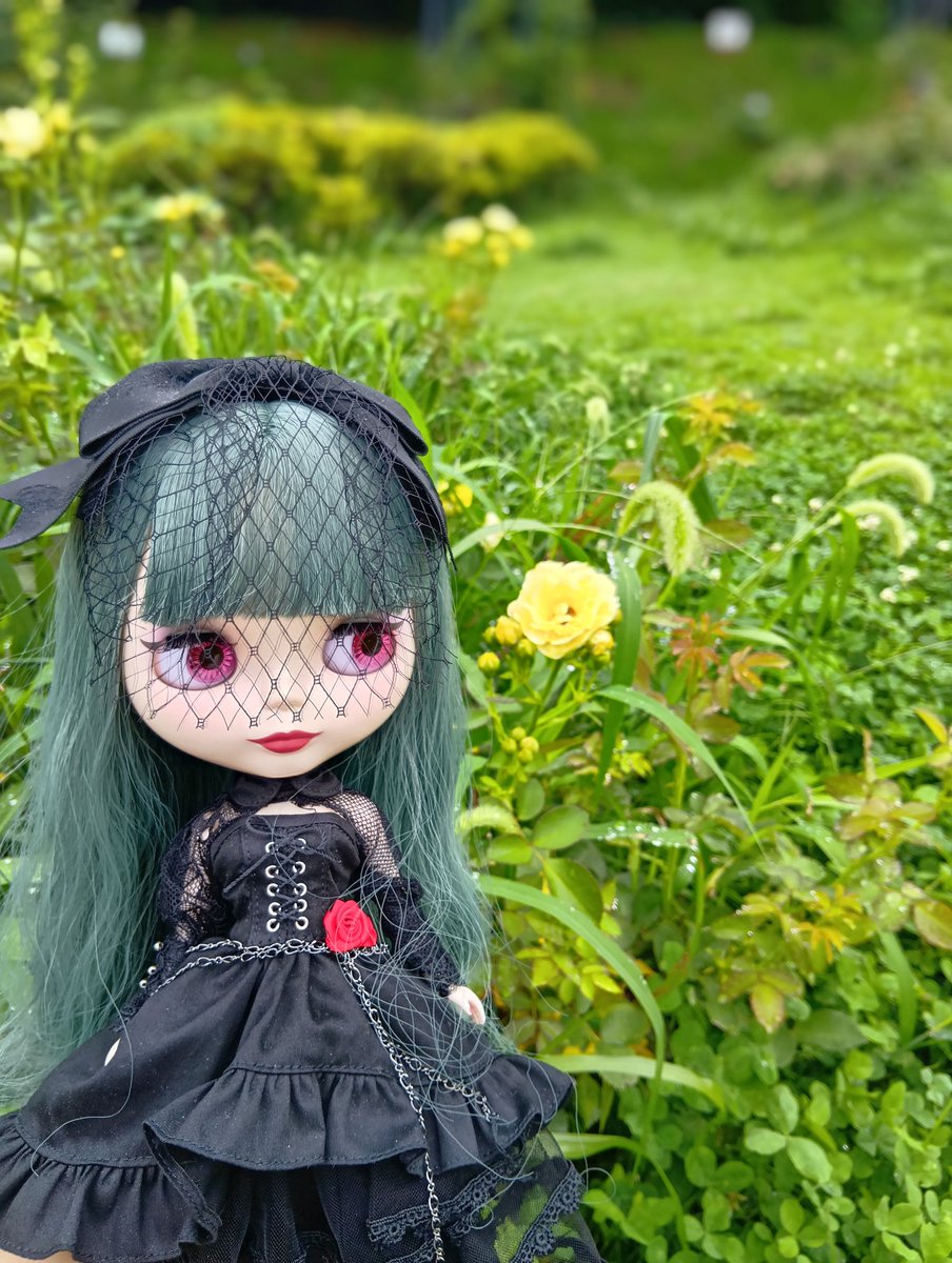TapiocaRPG's tweet photo. かわよ。 https://t.co/hL3cJ16d0m