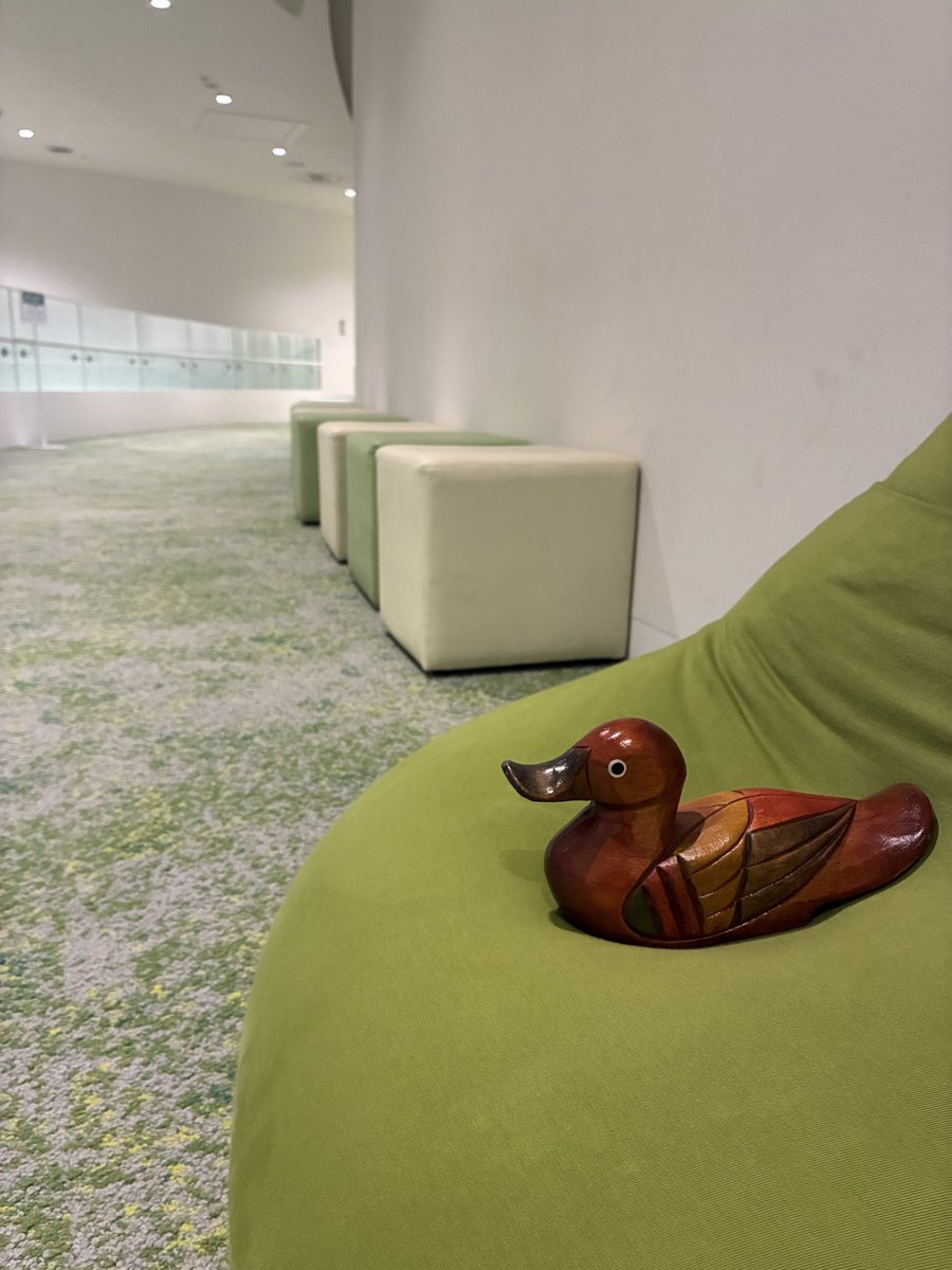 girigiri2026's tweet photo. ／
カモもダメにするソファ🦆
＼

ＳｋｙシアターＭＢＳは2階にも椅子がいっぱいあるカモ🛋️
一度座ったらもう立てないカモ🦆

開演ぎりぎりまで寝ちゃわないようにね⚠️

#ぎりぎり2026 https://t.co/SA6zfnjk1U