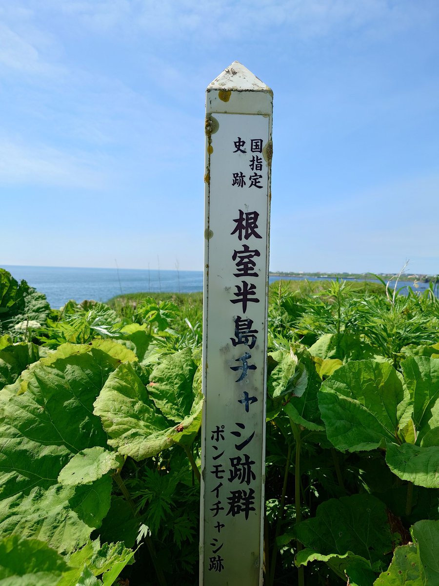0_bambi's tweet photo. ふらっと根室。
ふらっと納沙布岬。 https://t.co/QxTfNwiUbh