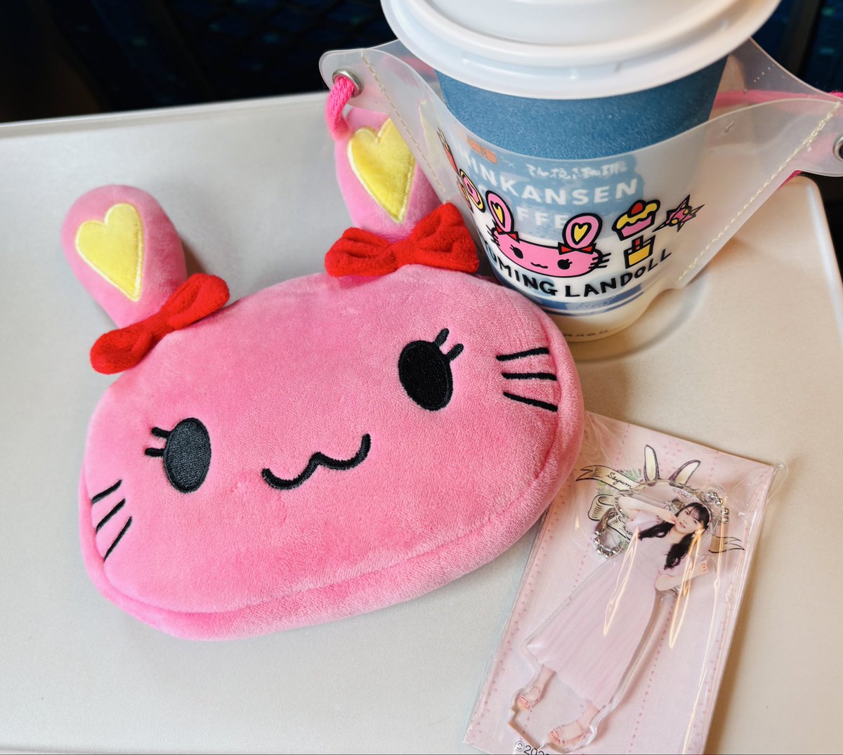 Peng07131's tweet photo. 長距離移動では荷物を減らすべきなのに、なぜヲタクはさゆうさ(and more)を必須持ち物に加えてしまうんだろうなぁ。忘れたくないなぁ、この心意気(？) https://t.co/MzwKqrLXPm