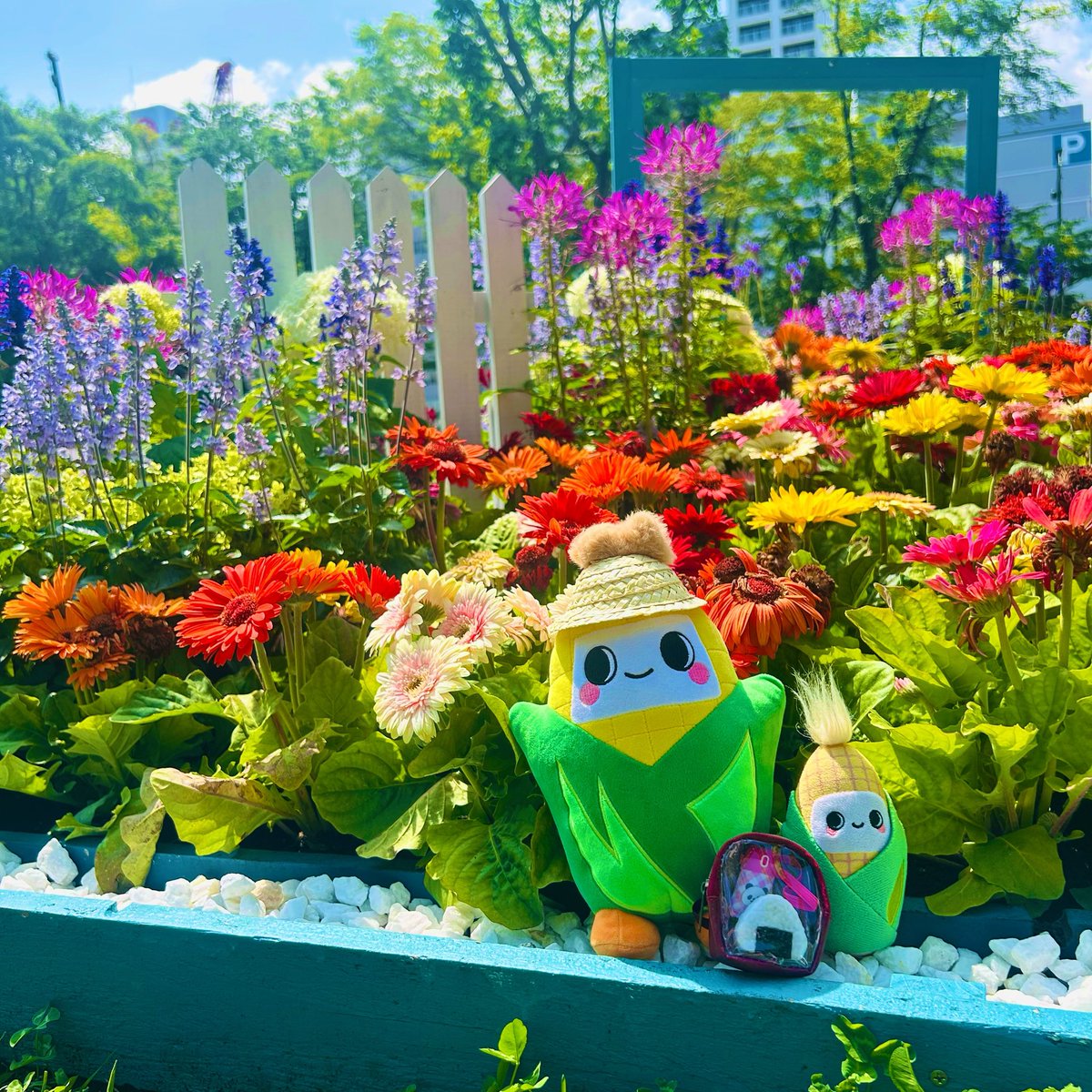 toukibi_wagon's tweet photo. おはきびです🌽
3.4丁目ワゴンは通常営業、本日もよろしくお願いします😊

きびっちの花壇探検も最終日🪻
和風やジャングル(?)風だったり色んな花壇を見たらお腹が減ってきたきびっちーずはおにぎり食べたりゴロゴロしたりでひと休み🍙🥱
楽しい休日で良かったね☺️

#企業公式相互フォロー https://t.co/hWvULCMymD