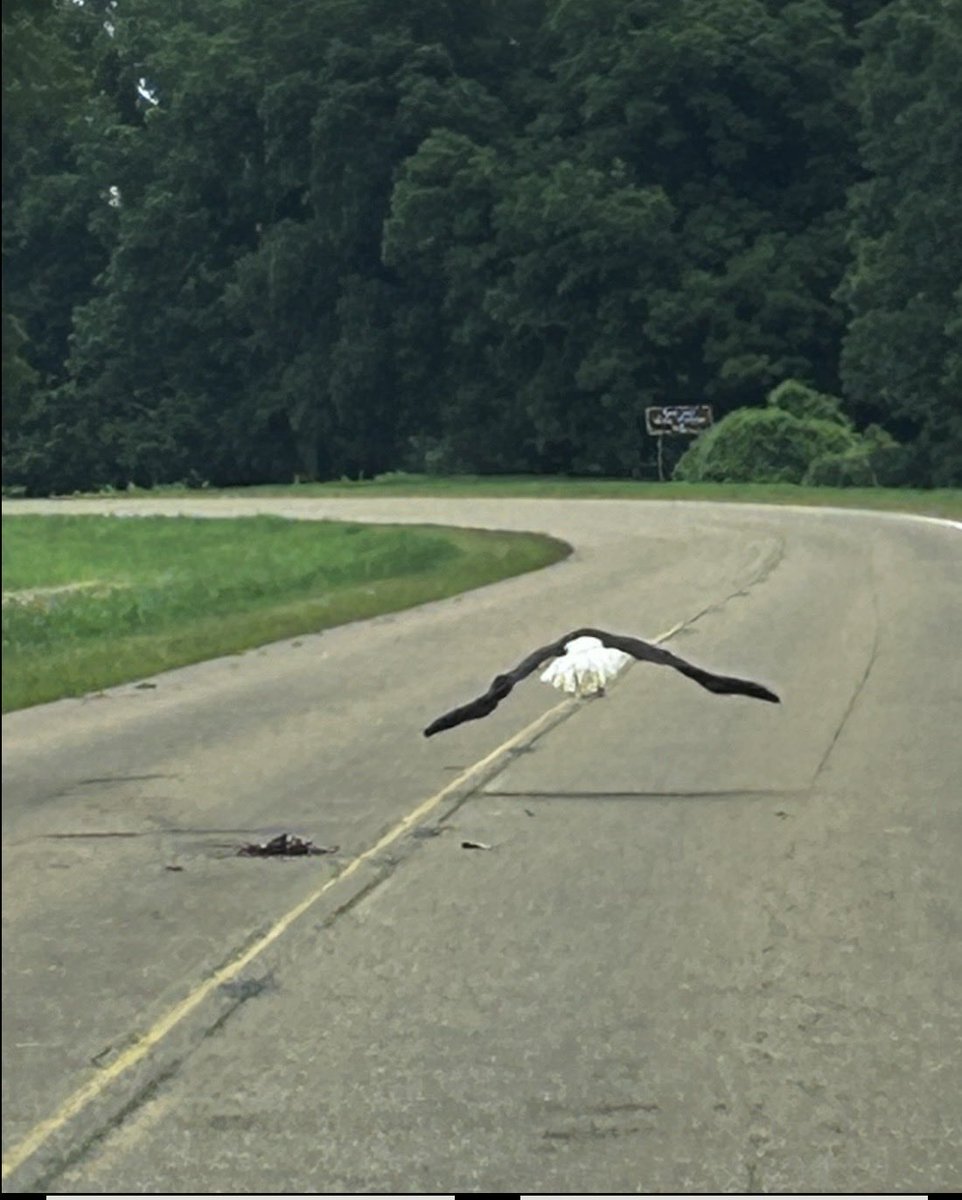 DelkDennis's tweet photo. Lead The Way https://t.co/4GdXftB5sz