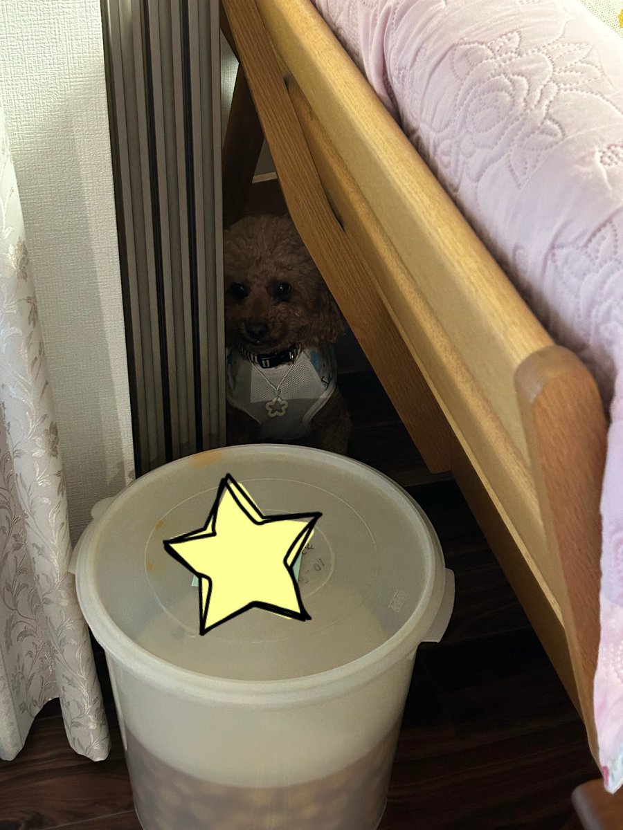 Swatailff14's tweet photo. ゴミ漁った犬が梅干しの奥で隠れてた https://t.co/jRxeoKgjFE