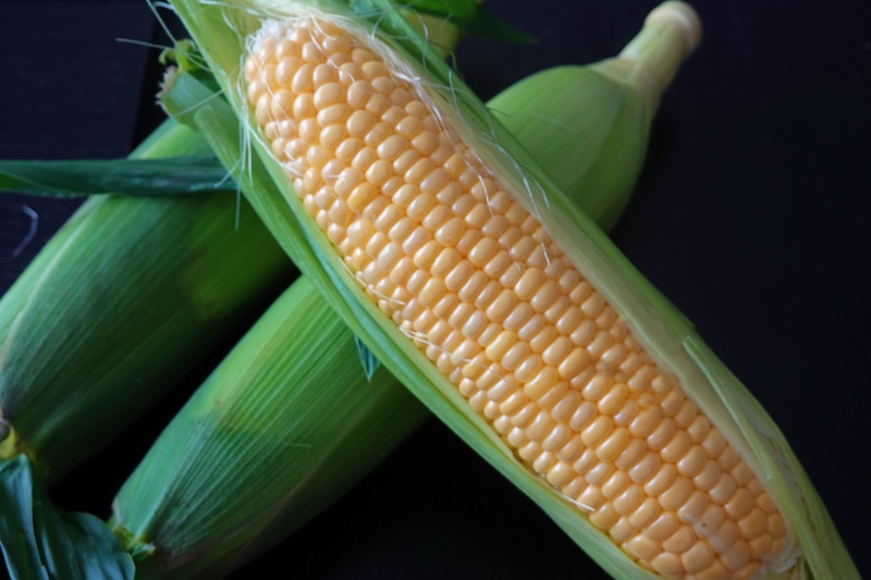 vigoroso88's tweet photo. おはようございます☁️

今年も甘くてみずみずしい甘々娘を🌽
おいしくいただきました😋
いよいよ今シーズンも終わりだそうです

また来年会えるのを楽しみに😊

＃甘々娘 https://t.co/t1HogmKhho