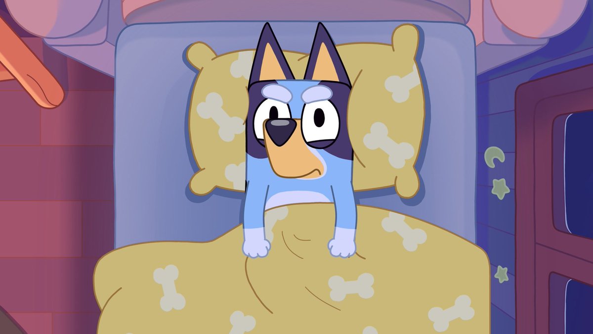 comfortbluey's tweet photo. there are two types of sleepers! 😴 https://t.co/HIILYFSWBB