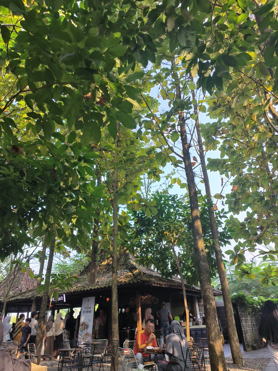 shalleee0's tweet photo. 📍🌿 https://t.co/UfqGK7wEGv
