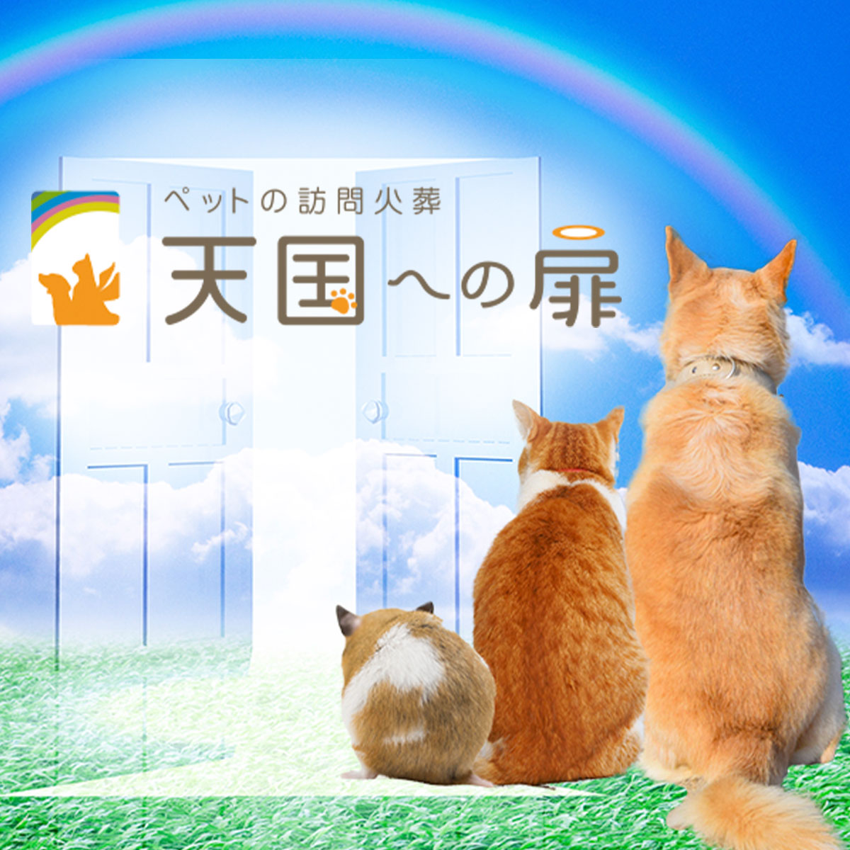 petkagoshima's tweet photo. 鹿児島市を中心に鹿児島県全域をペット火葬車にて出張訪問葬儀、火葬を承っております。 
大切なお見送りをご家族様に寄り添ってサポートいたします。
24時間対応させていただきますので、お気軽にご相談ください。 
#鹿児島市
#ペット火葬
#ペット葬儀
#ペットメモリアル鹿児島 https://t.co/H3eCaonDpk