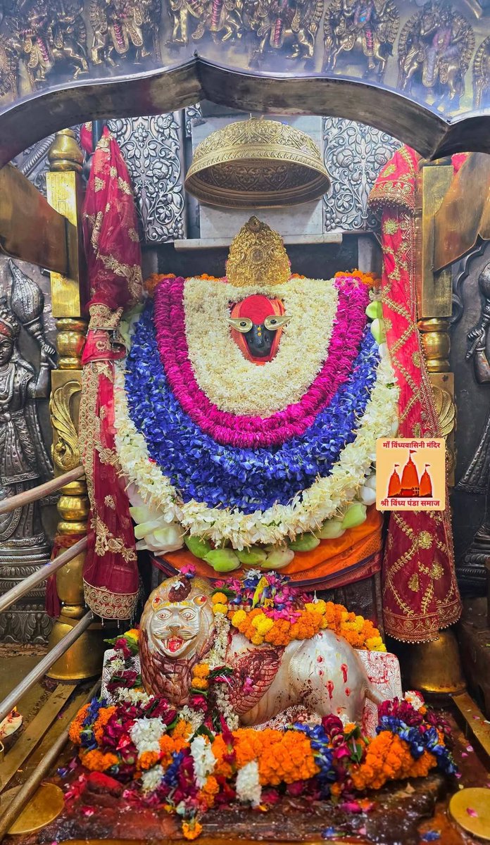 modanwalA2Y's tweet photo. जय माँ विन्ध्यवासिनी 
आज 5-7-2026 रविवार को माता का प्रातःकालीन मंगला आरती दर्शन https://t.co/0C4zNWiJJY