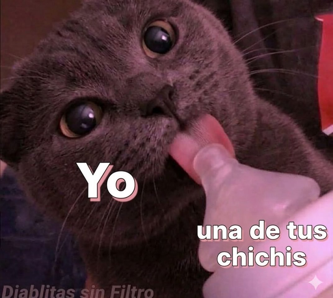 XxLast1xX's tweet photo. Otra razón para alentar a México 🫦 https://t.co/VULmUa3sHy