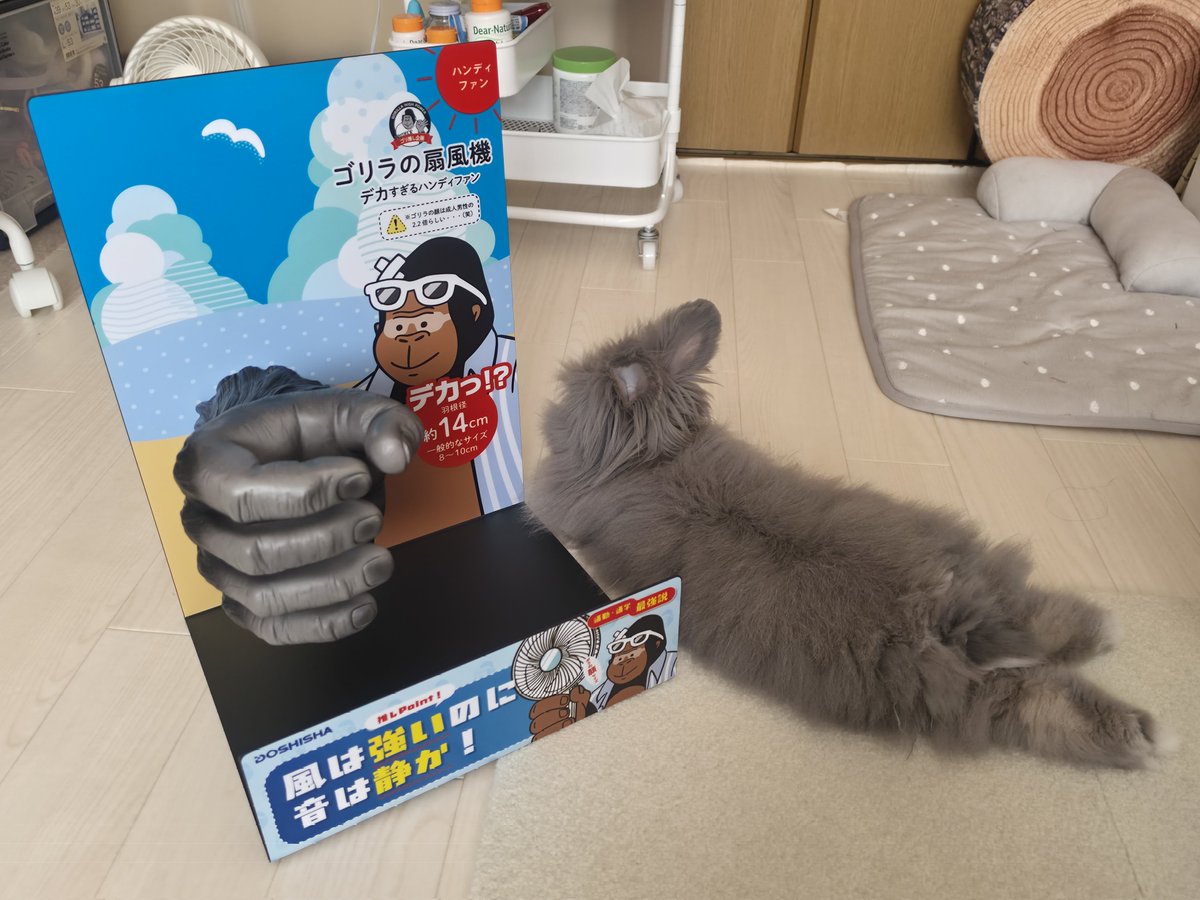 tamagotoore's tweet photo. ゴリラのひとつかみシリーズの手が届いたんだけどまさか背景のパネルまで付いてくると思わなくて笑った。
置き場に困るけどうさぎが気に入ったみたいでしばらく床に置いておきます🐇⸒⸒
当選させてくれてありがとうございます✨ https://t.co/v5YwZK0K00