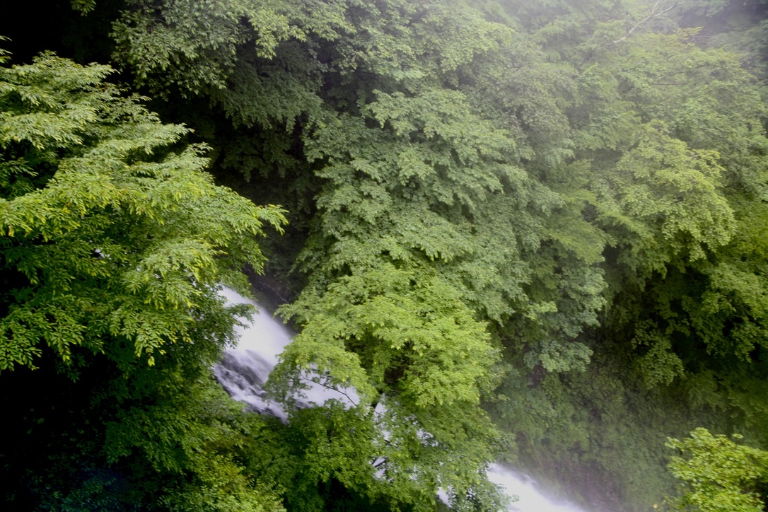 BeatMocha's tweet photo. #華厳の滝 #EOS5dMark2 #Tamron28_75mm https://t.co/Pk9dMNIxky