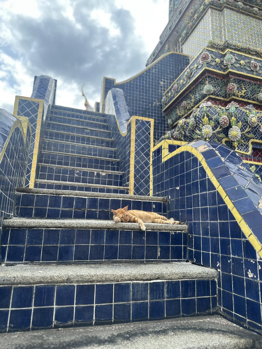 Na_Jenny_Glad's tweet photo. 🇹🇭ワットポーにて
At Wat Pho
◆涅槃仏 & その後頭部
Reclining Buddha & the back of the head
◆あちこちにいる猫ちゃん
Cats are everywhere
◆とてつもなく美しい、歴史ある建造物
An incredibly beautiful, historic building
#WatPho #Bangkok #ワットポー #涅槃像 https://t.co/nNc0ftdE2g