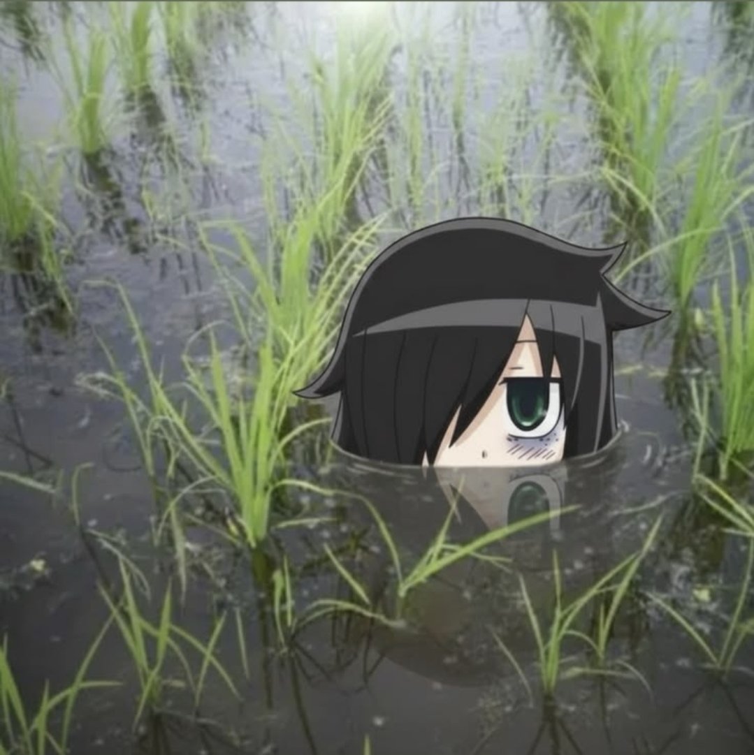 Degenbubbs's tweet photo. Tomobros just be chillin sometimes https://t.co/mCoiEVFDUT